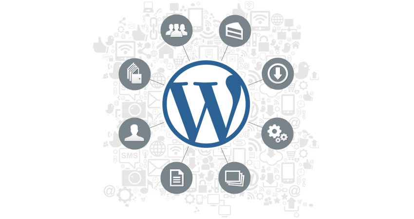 wordpress